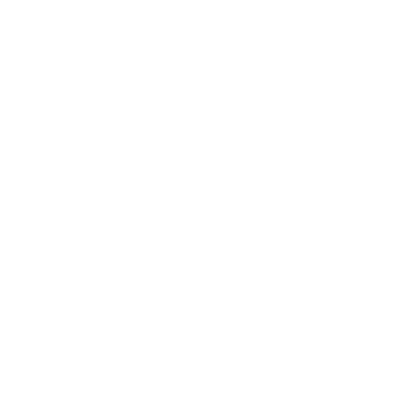 bujjis white logo